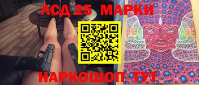 прущие грибы Новозыбков