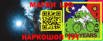 прущие грибы Новозыбков
