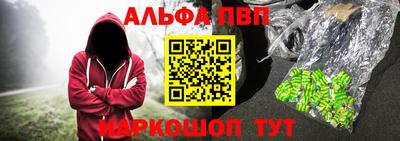 прущие грибы Новозыбков