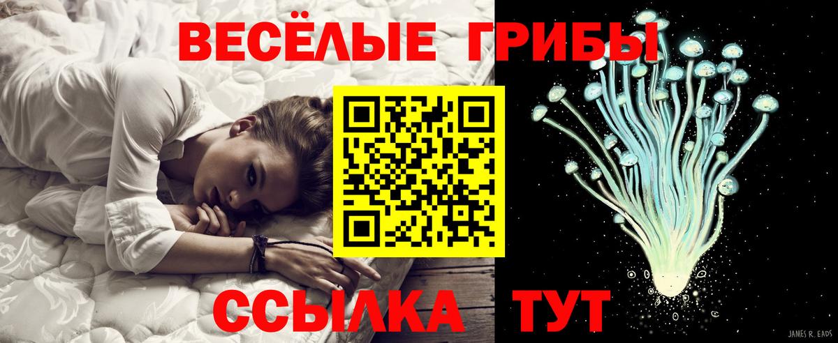 Псилоцибиновые грибы MAGIC MUSHROOMS  Галлюциногенные грибы Cubensis  Вход с VPN  Южно-Сахалинск 